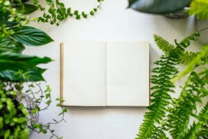 Book and plants