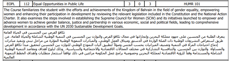 Course Description for Equal Opportunities in Public Life