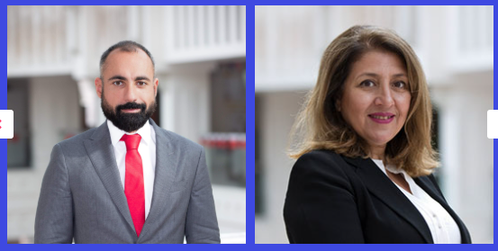 Inclusion training programs