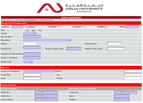 Online application interface