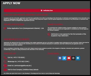 Online application form interface