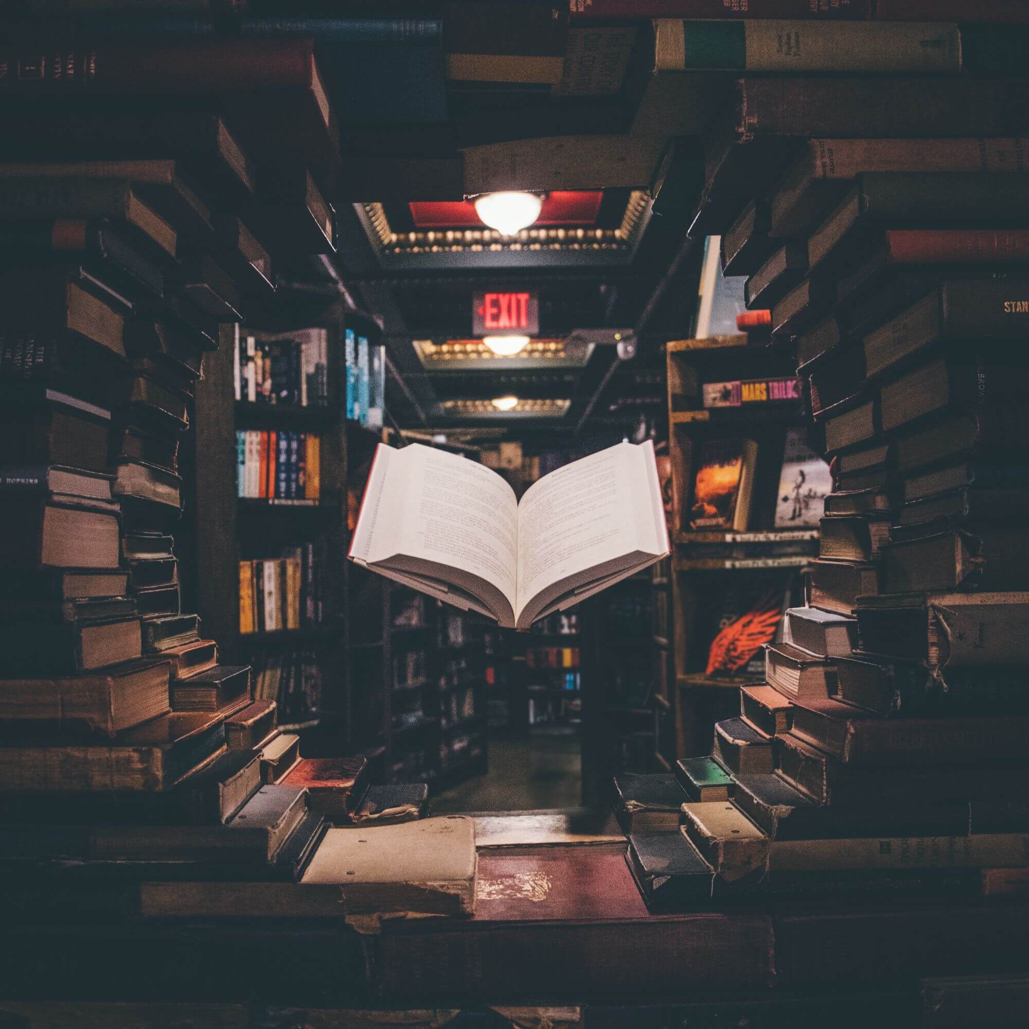 The Book Talk Programme promotional artwork