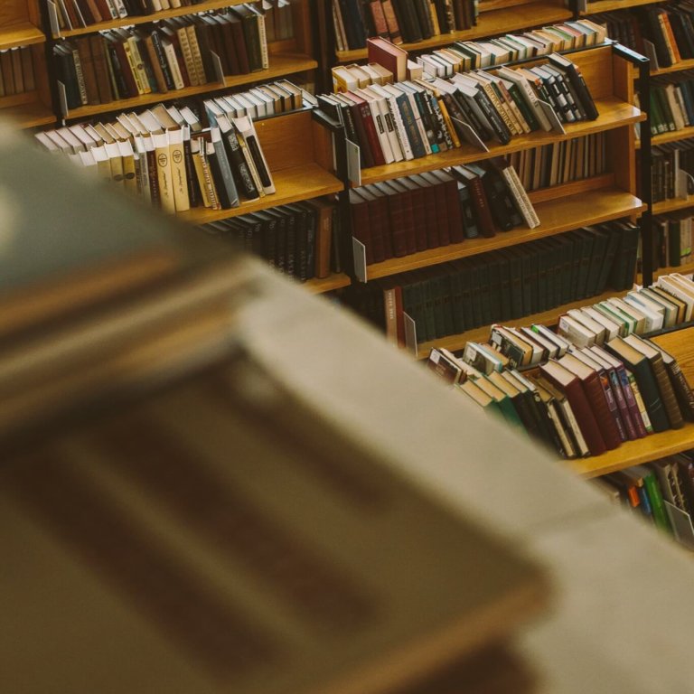 pexels-polina-zimmerman-3747501